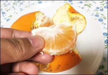 19-kansyoku-mikan-kadyu