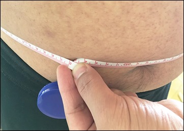 2-kona-milk-diet-3day-hara-around