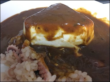28-2017-3-7-tacomeshi-tofu-dinner-curry