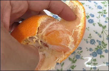 7-kona-milk-diet-noon-mikan
