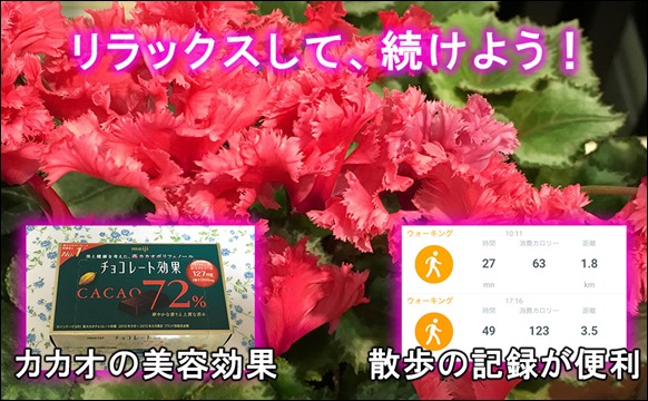 e-kona-milk-diet-3day-walking