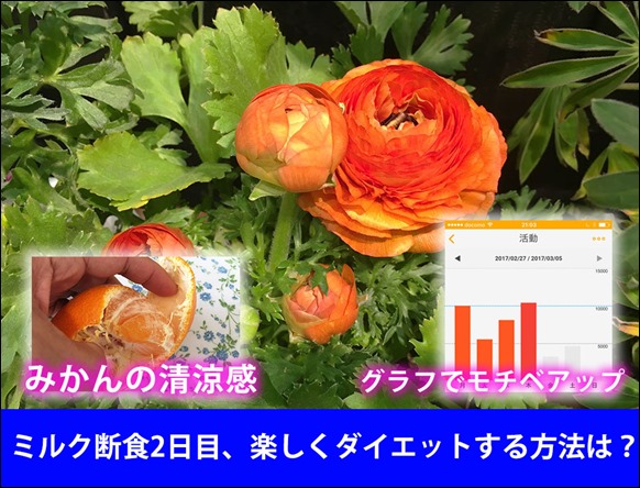 t-kona-milk-diet-2day-night-walk