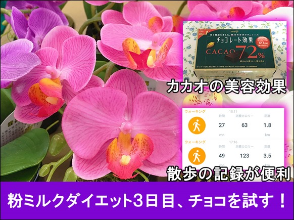 t-kona-milk-diet-3day-walking