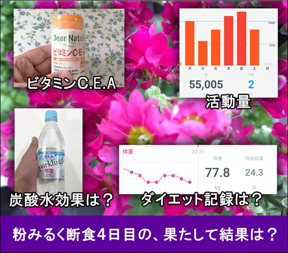 t-kona-milk-diet-4day