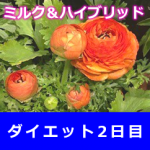 【2日目】粉ミルク断食！ダイエットアプリでモチベアップ！①ダイエット以外の楽しみを持つ ②ストレスを意識しない。