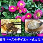 【1日目】低炭水化物・糖質制限ダイエット焼肉&豆腐お粥レシピ！